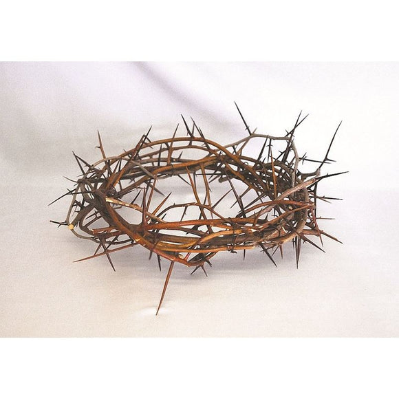 Crown of Thorns | Available in 2 sizes